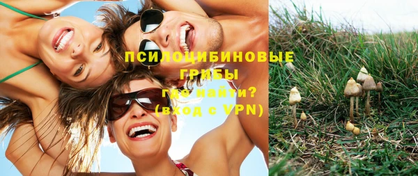 Альфа ПВП Кулебаки