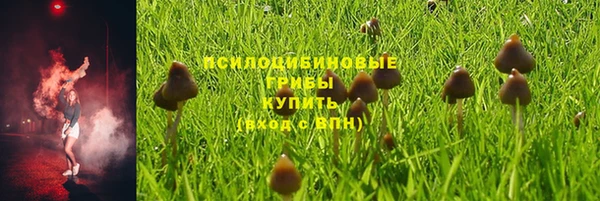 2c-b Куйбышев